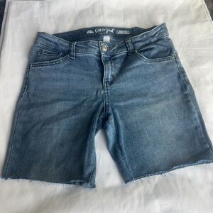 Cutoff Denim Shorts